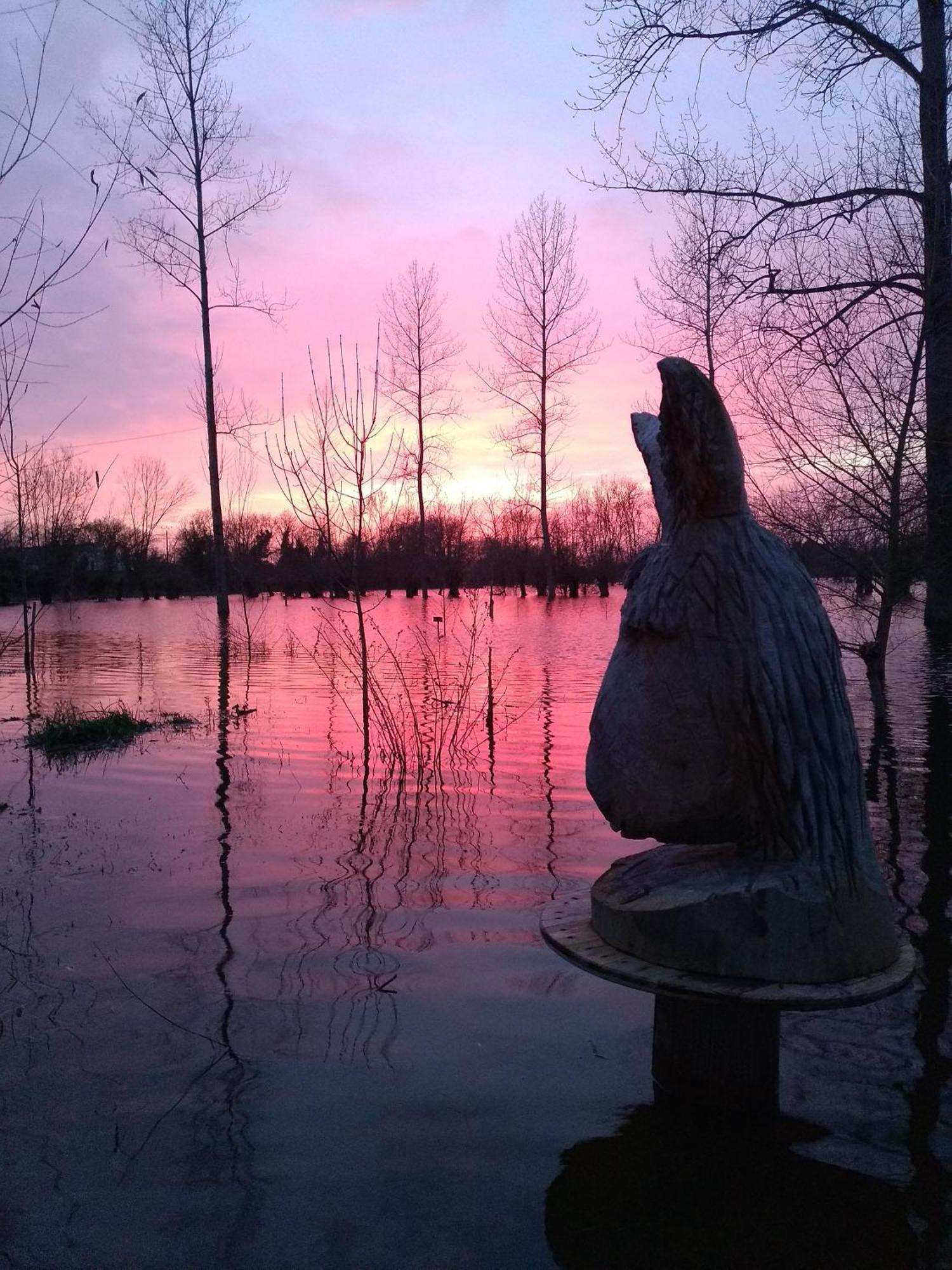 فندق La Ferme Du Marais Poitevin - Roulotte Benet المظهر الخارجي الصورة