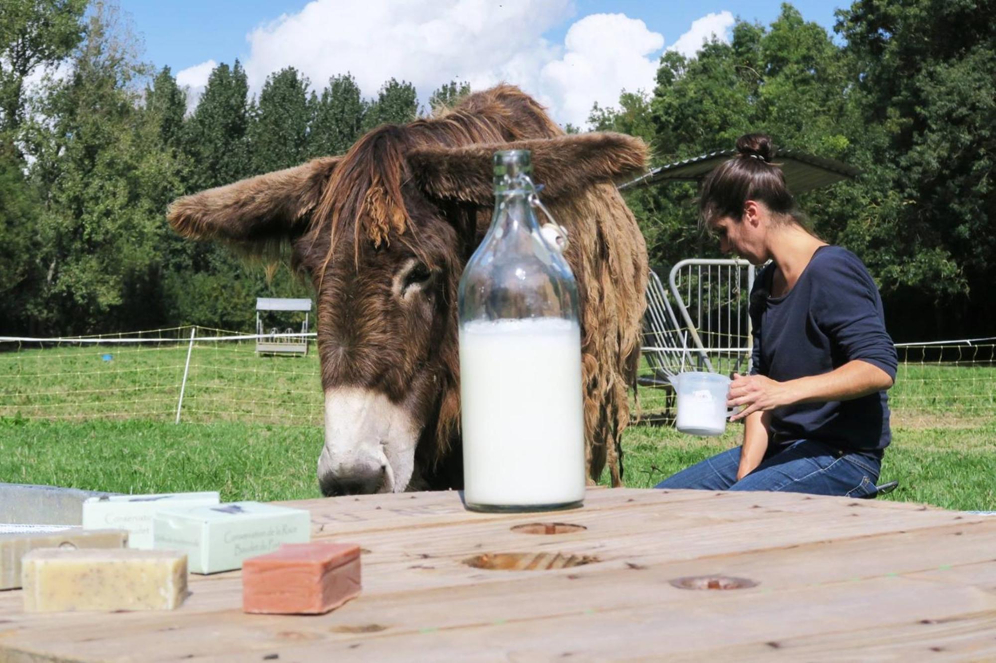 فندق La Ferme Du Marais Poitevin - Roulotte Benet المظهر الخارجي الصورة